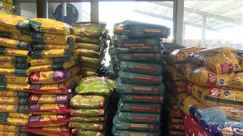 pacc dogs|pacc dog food donations.